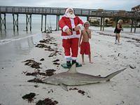 IMG_0350.JPG