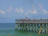 DSCN0755.JPG