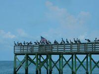 DSCN0758.JPG