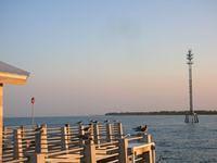 DSCN0816.JPG
