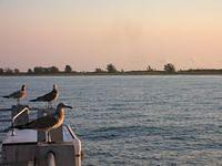 DSCN0817.JPG