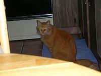 DSCN0847.JPG