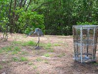 DSCN0858.JPG