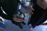 IMG_5208.jpg