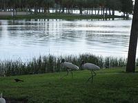 IMG_1349.JPG