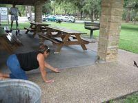 IMG_1354.JPG