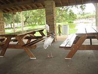 IMG_1355.JPG
