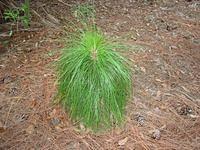 IMG_1360.JPG