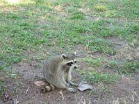 IMG_1366.JPG