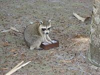 IMG_1371.JPG