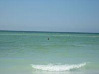 IMG_1373.JPG