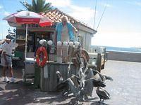 IMG_1455.JPG