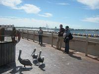 IMG_1457.JPG