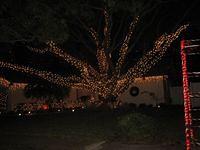 IMG_1578.JPG