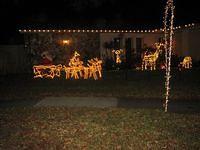 IMG_1582.JPG