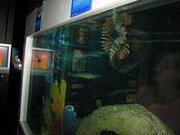 IMG_0634.JPG