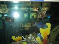 IMG_0635.JPG