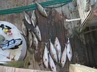 IMG_0673.JPG