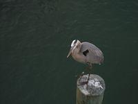 IMG_0674.JPG