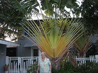IMG_0676.JPG