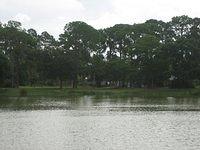 IMG_0931.JPG