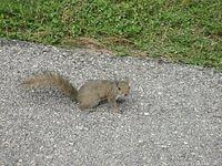 IMG_0934.JPG