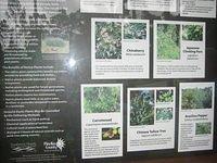 IMG_0939.JPG