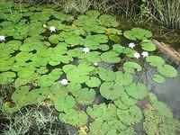 IMG_0941.JPG