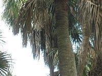 IMG_0945.JPG