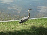 IMG_0946.JPG