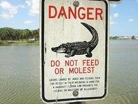 IMG_0949.JPG