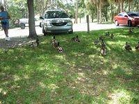 IMG_0952.JPG