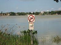 IMG_0953.JPG