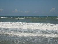 IMG_0962.JPG
