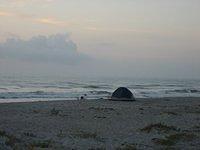 IMG_0987.JPG