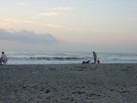 IMG_0991.JPG