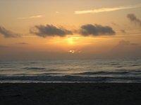 IMG_0993.JPG