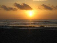 IMG_1000.JPG