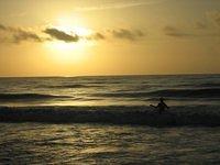IMG_1001.JPG