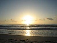 IMG_1003.JPG