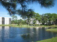 IMG_2542.JPG