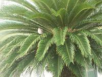 IMG_2544.JPG