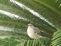 IMG_2546.JPG