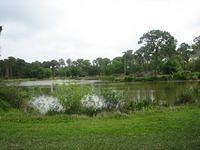 IMG_1869.JPG