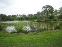 IMG_1870.JPG