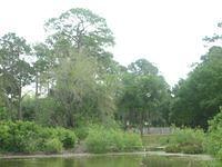 IMG_1871.JPG