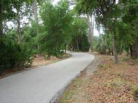 IMG_1872.JPG