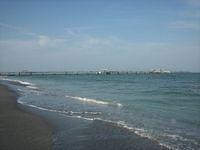 IMG_1893.JPG