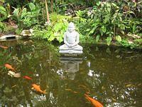 IMG_1901.JPG