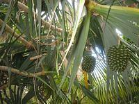 IMG_1903.JPG